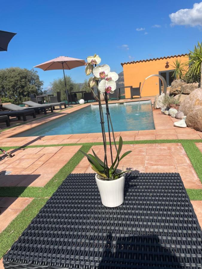 A Casa Di Jo Bed and Breakfast Calenzana Εξωτερικό φωτογραφία